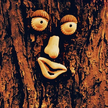 Mr. Neckofthewoods