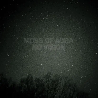 NO VISION