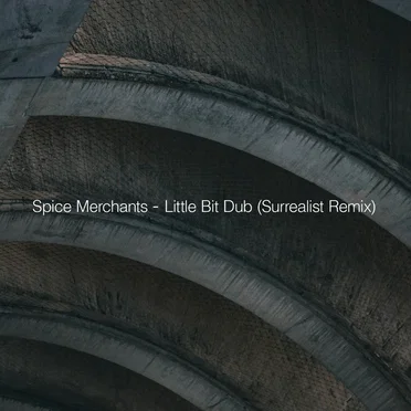 Little Bit Dub (Surrealist Remix)