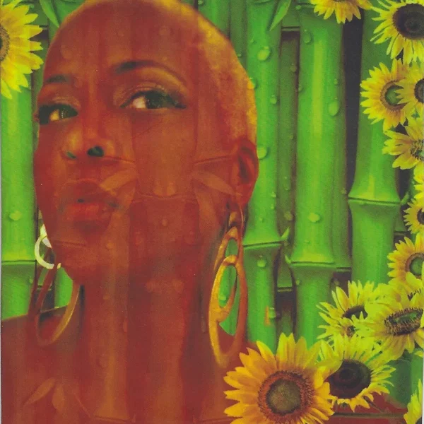 Sunshine Everyday - The E.P.