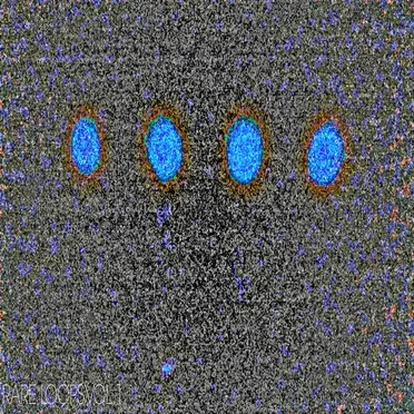 Rare Loops Vol 1
