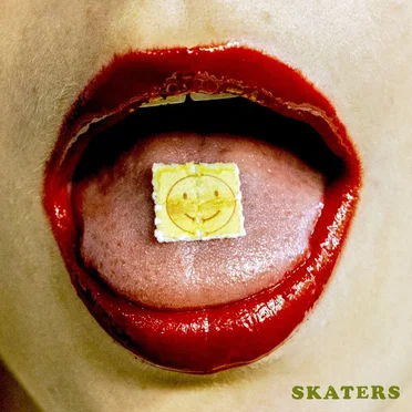 Rock and Roll Bye Bye by Skaters - album cover