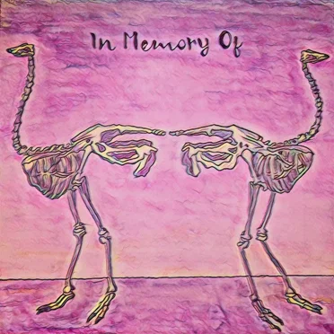 In Memory Of