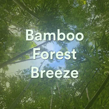 Bamboo Forest Breeze by Ambient Calm - album cover