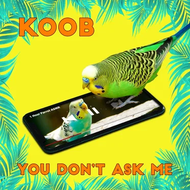 You Don't Ask Me by KOOB - album cover
