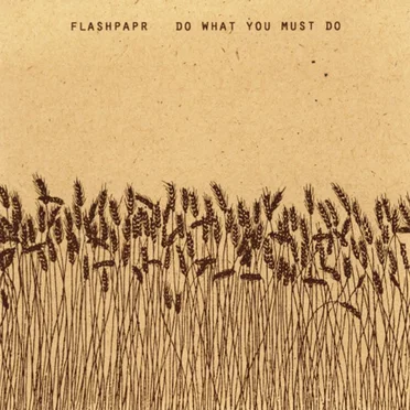 Do What You Must Do by Flashpapr - album cover