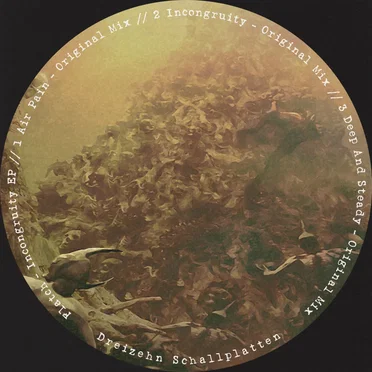 Incongruity EP
