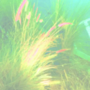 0380 by Abide Serene - album cover