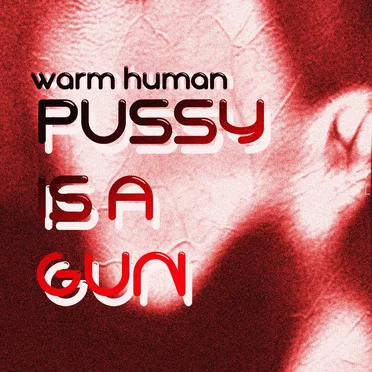 PUSSY IS A GUN
