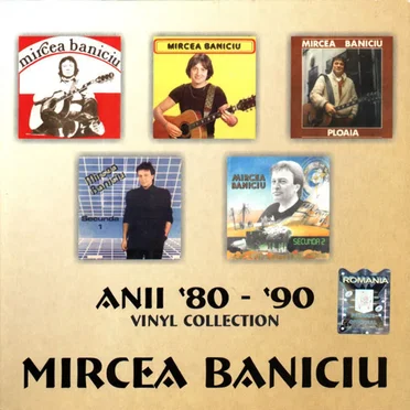 Anii '80-'90 Vinyl Collection