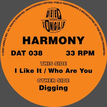 Digging / I Like It / Who Are You