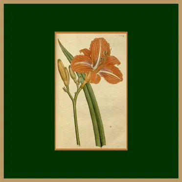 9 August