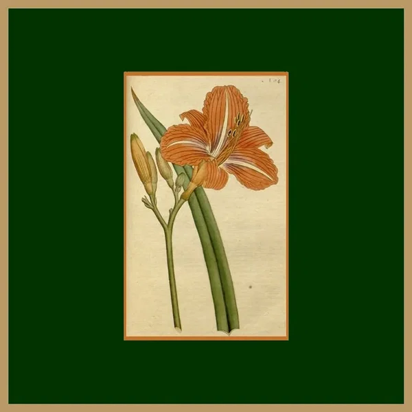 9 August