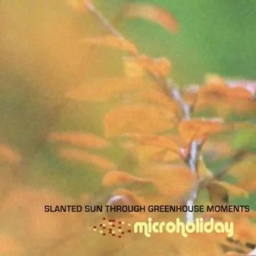 Slanted Sun Through Greenhouse Moments