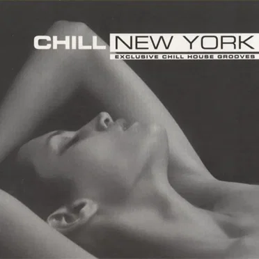 Chill New York - Exclusive Chill House Grooves by Various Artists - album cover