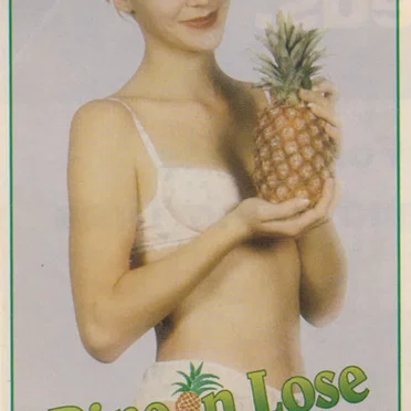 Pine 'N Lose (The Poetry Of Paul Petroskey) by Weird Paul - album cover
