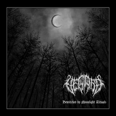 Bewitched by Moonlight Rituals by Vegard - album cover