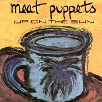 Meat Puppets artist image