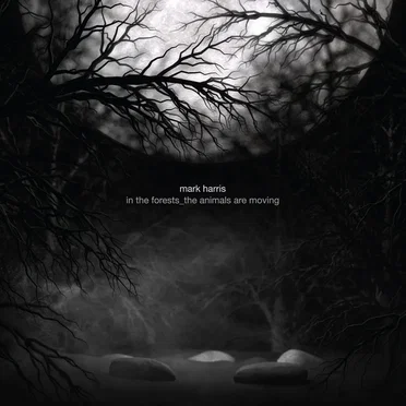 in the forests_the animals are moving