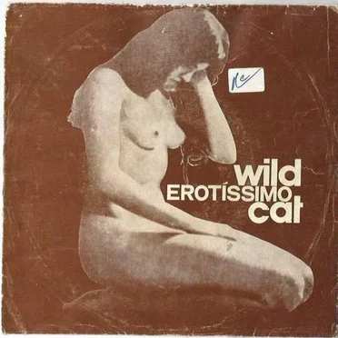 El Cumbanchero / Wild Cat by Trinity - album cover