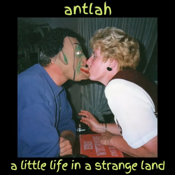 A Little Life in a Strange Land