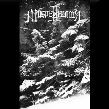 Demo I by Múspellzheimr - album cover
