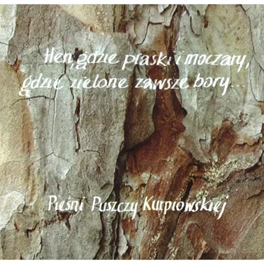 Hen, gdzie piaski i moczary, gdzie zielone zawsze bory… Pieśni Puszczy Kurpiowzkiej