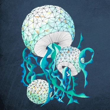 6 Years of Underyourskin Records by Various Artists - album cover