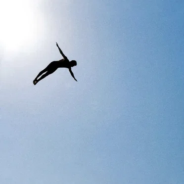 ציפור כחולה