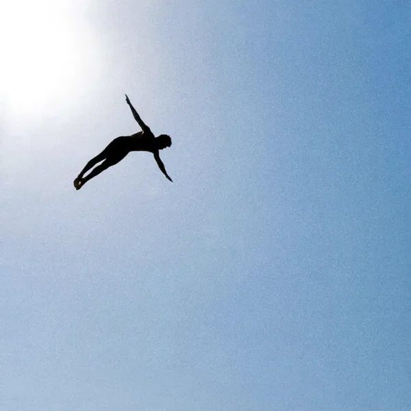 ציפור כחולה