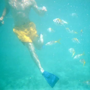 Waterworld (Special Edition)