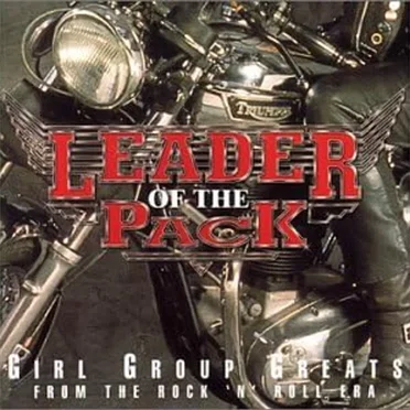 Leader of the Pack: Girl Group Greats from the Rock ’n’ Roll Era by Various Artists - album cover