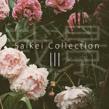 Saikei Collection, Vol. 3 by Various Artists - album cover