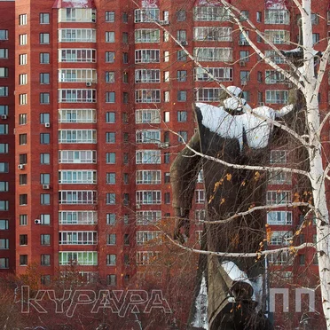 Курара