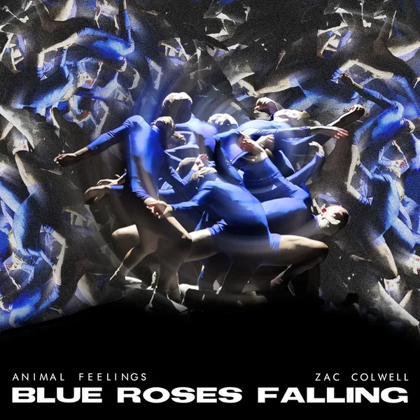 Blue Roses Falling