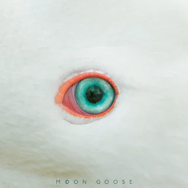 Moon Goose