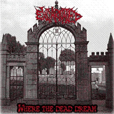 Where the Dead Dream