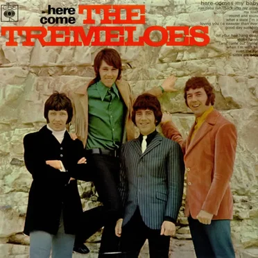 Here Come the Tremeloes
