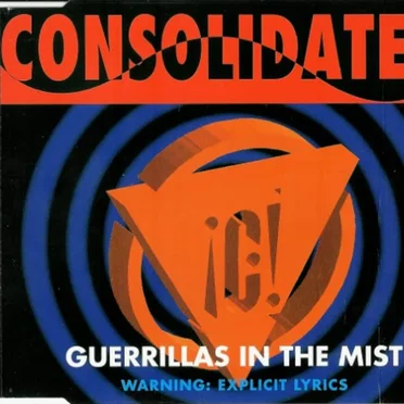 Guerrillas in the Mist
