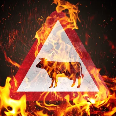 FireFarm