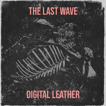 The Last Wave