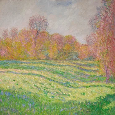 Sun Outside My Window