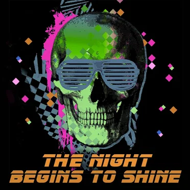 The Night Begins to Shine by B.E.R. - album cover
