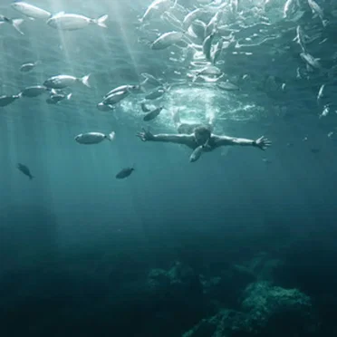 Deep Ocean