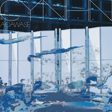 AOAWASE
