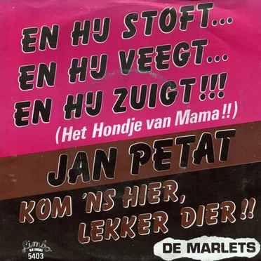 En hij stoft… En hij veegt… En hij zuigt!!! (Het hondje van mama!!) / Kom ’ns hier lekker dier!!