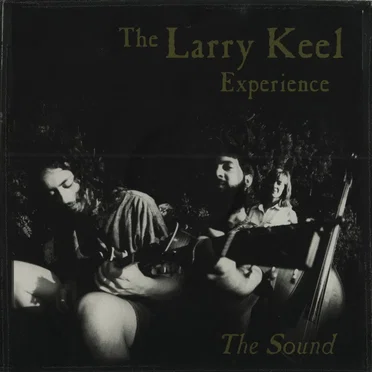 The Sound by The Larry Keel Experience - album cover