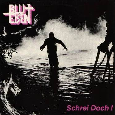 Schrei doch! by Blut + Eisen - album cover