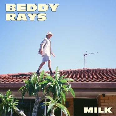 Milk