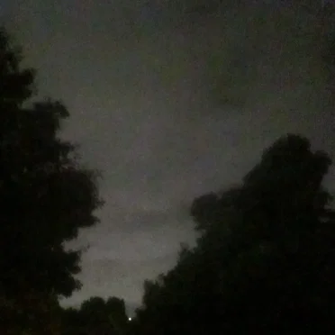 The Sine Wave Vol. 352020